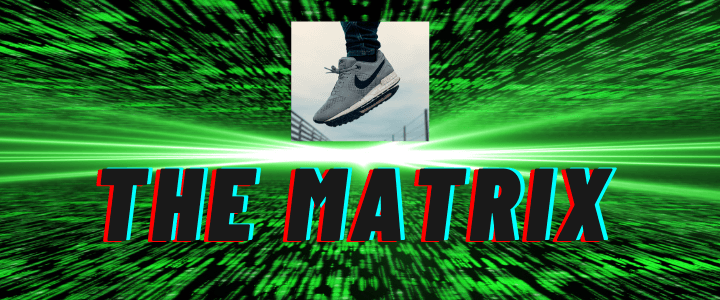 My Story: Is It Time to Get Real? 10 Lessons Learned 3 The Matrix
