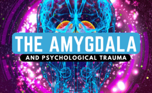 Freebies 17 Amygdala