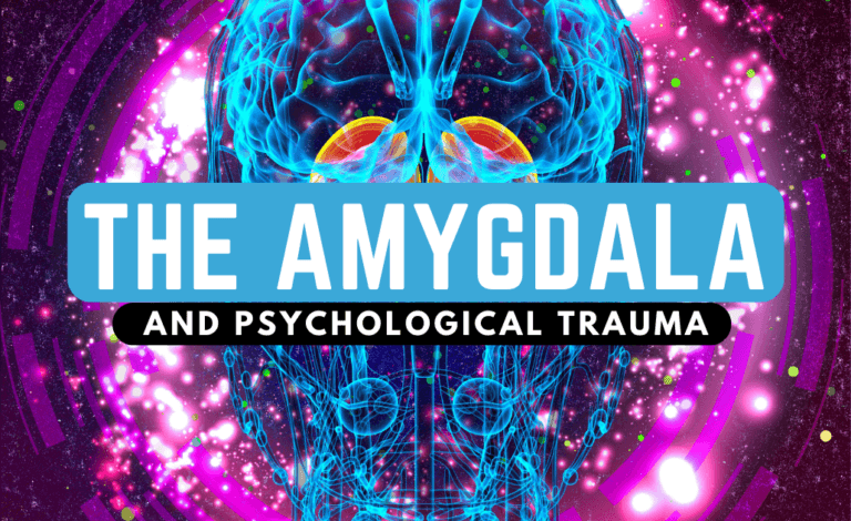 Amygdala