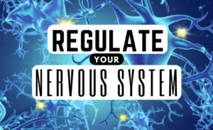 All Articles: Start Here! Narcissistic Abuse Recovery 250+ 17 nervous system