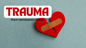 Freebies 13 context of narcissistic abuse