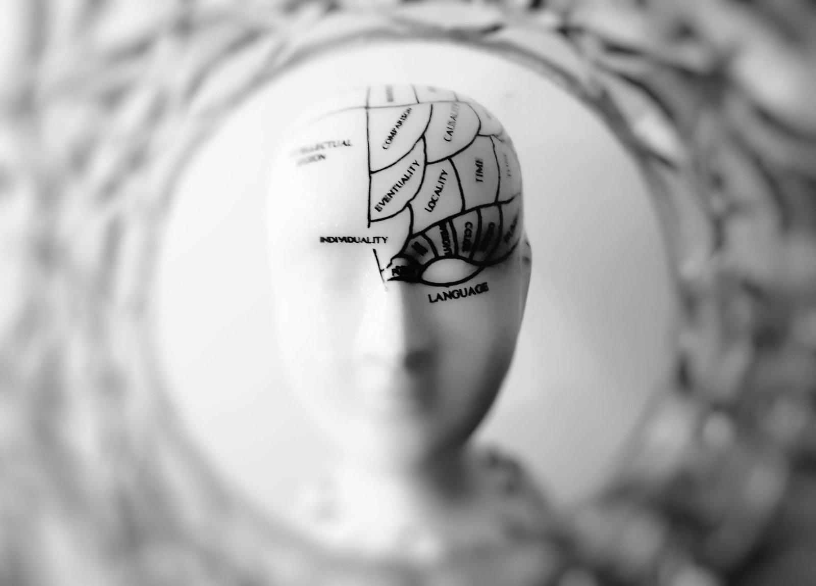 Emotional management Close-up black and white image of a phrenology head with brain sections labeled.